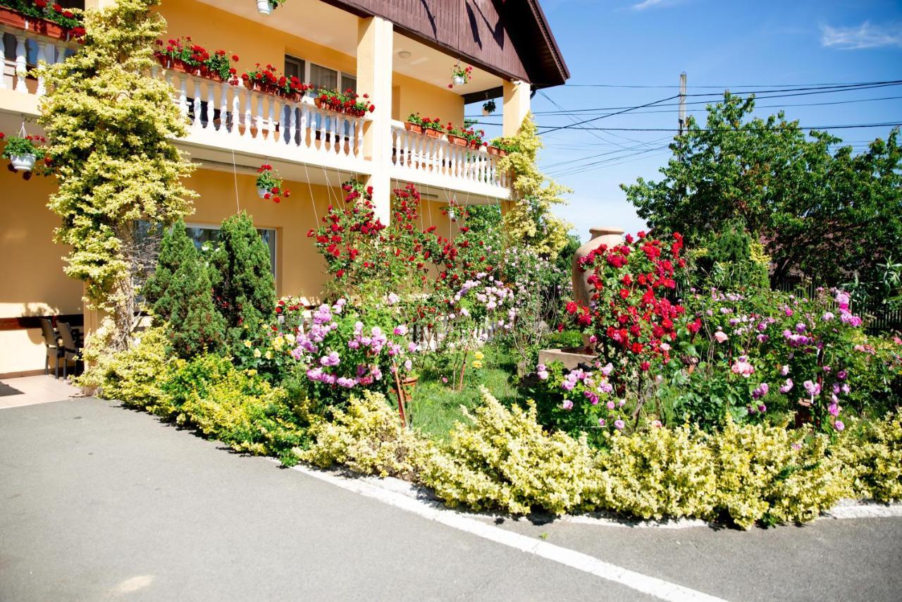 Motel Moara Veche Săcălăşeni Esterno foto